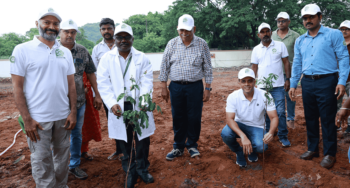 Tree Plantation